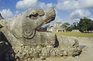 Serpent Prints: Serpents Head at bottom of Great Pyramid