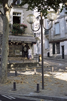 Serrant, Pays de la Loire, France, Europe