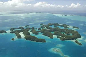 Seventy Islands (Ngerukewid Islands Wildlife Preserve), forest-covered limestone rock