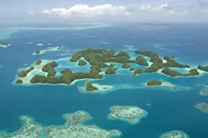 Micronesia Prints: Seventy Islands (Ngerukewid Islands Wildlife Preserve), forest-covered limestone rock
