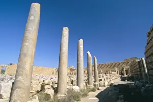 Severan Forum, Leptis Magna, UNESCO World Heritage Site, Tripolitania, Libya