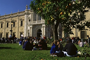 Tee Nager Prints: Sevilla University