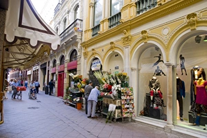 Images Dated 20th September 2007: Seville, Andalucia, Spain, Europe