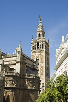 Seville Cathedral