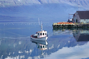 Arrive Prints: Seydisfjord