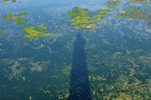 Navigation Prints: Shadow of Cordouan Lighthouse visible in coastal water during low tide in France