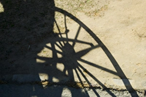 Carriage Prints: Shadow of horse carriage wheel in Santa Cruz district