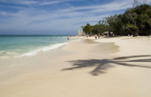 Cuban Prints: The shadow of a palm tree on the beach and emerald sea