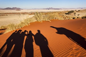 Absence Prints: Shadow of traillists on Tok Tokkie trail, NamibRand Nature Reserve, Namibia, Africa
