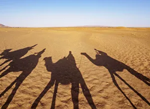 Shadows of people riding camels in a caravan in Zagora Desert, Draa-Tafilalet Region Shadows of people riding camels in a caravan in Zagora Desert, Draa-Tafilalet Region