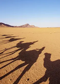 Shadows of people riding camels in a caravan at Zagora Desert, Draa-Tafilalet Region
