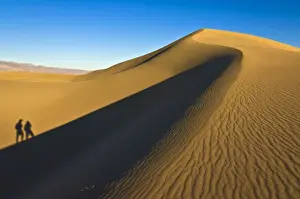 Sand Ripples Prints: Shadows of two people walking up the dunes of the Mesquite Flats sand dunes