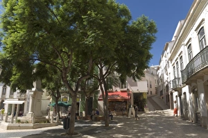 A shady square