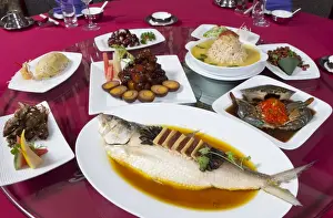 Shanghai style dishes served elegantly at a Chinese restaurant, Shanghai, China, Asia