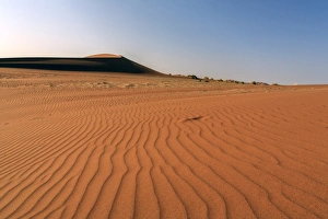 Barren Prints: The shapes of sand constantly shaped by the wind, Deadvlei, Sossusvlei, Namib Desert