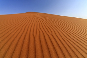 The shapes of sand constantly shaped by the wind, Deadvlei, Sossusvlei, Namib Desert