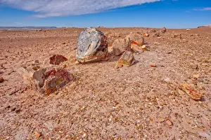 Petrified Wood Prints: A shattered petrified log in a desolate area of Petrified Forest National Park, Arizona