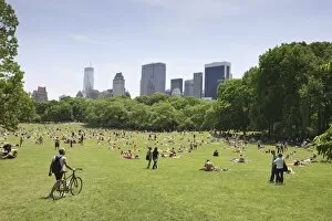 Sheep Meadow, Central Park on a Summer day, New York City, New York, United States of America