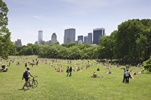 Sheep Meadow, Central Park on a Summer day, New York City, New York Sheep Meadow, Central Park on a Summer day, New York City, New York