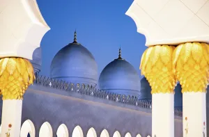 Floral Prints: Detail of Sheikh Zayed Grand Mosque in Abu Dhabi, United Arab Emirates