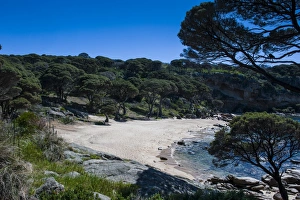 Images Dated 10th October 2008: Shelley Cove near Eagle Bay, Western Australia, Australia, Pacific