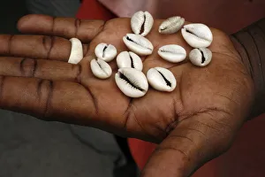 Shells Prints: Shells used by fortune tellers, Brazzaville, Congo, Africa