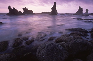 Daybreak Prints: Shi Shi Beach, Olympic National Park