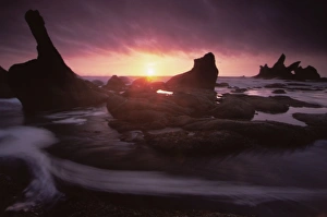 Daybreak Prints: Shi Shi Beach, Olympic National Park