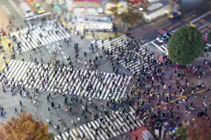 Crowded Prints: Shibuya Crossing, centre of Shibuyas fashionable shopping and entertainment district