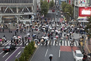 Zebra Crossing Prints: Shibuya crossing (The Scramble), Shibuya Station, Shibuya, Tokyo, Japan, Asia
