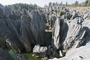 Images Dated 14th February 2009: Shilin Stone Forest, UNESCO World Heritage Site, Yunnan Province, China, Asia