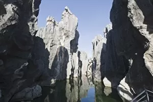 Images Dated 14th February 2009: Shilin Stone Forest, UNESCO World Heritage Site, Yunnan Province, China, Asia