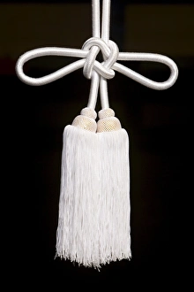 Rope Prints: Detail of Shimenawa