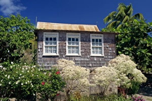 Port Elizabeth Prints: Shingle house