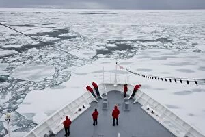 Ship breaking through ice floe and drift ice, Greenland, Arctic, Polar Regions