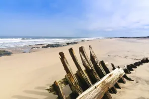 Wreck Prints: Shipwreck remains, Skeleton Coast, Namib Desert, Namibia, Africa