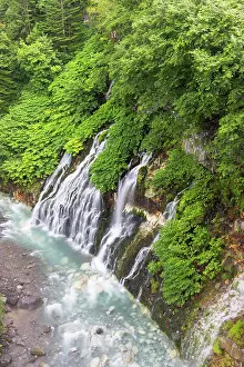 Hokkaido Prints: Shirahige waterfall flows over rocks surrounded by green trees near a river in Hokkaido
