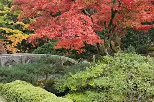 Images Dated 3rd November 2007: Shojo-en Zen Garden