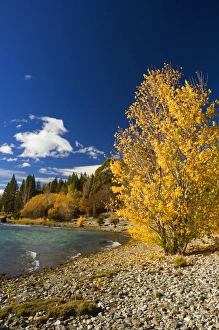 Curving Prints: Shore of Lake Wanaka