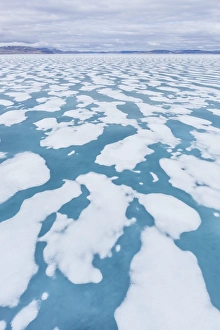 Nunavut Prints: Shorefast ice starting to melt in Maxwell Bay, Devon Island, Nunavut, Canada