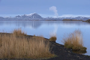 Myvatn Prints: Shores of Lake Myvatn, Mount Hlidarfjall, 771m, visible in the distance