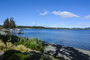 The shores Lake of Te Anau in Te Anau, Fiordland National Park, UNESCO World Heritage Site, South Island, New Zealand, Pacific