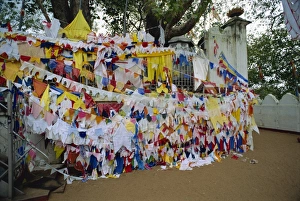 Bunting Prints: Shrine beneath a bodhi tree