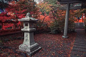 Autumnal Prints: A shrine in Bishamon-do Buddhist temple with autumn colors, Kyoto, Honshu, Japan, Asia