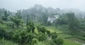 Far Eastern Prints: Sichuan Province, China, Asia