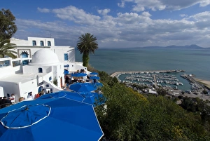 Sidi Bou Said, near Tunis, Tunisia, North Africa, Africa