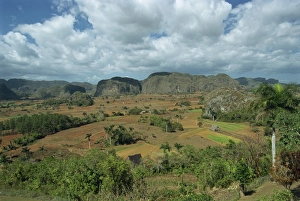 Vinales Prints: The Sierra De Los Oragnos mountains near Vinales, Cuba, West Indies, Caribbean