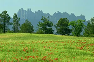 Catalonia Prints: Sierra de Montserrat, Catalonia, Spain, Europe