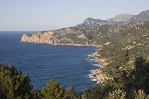 Images Dated 20th March 2008: Sierra de Tramuntana, near Valdemossa, Majorca, Balearic Islands, Spain