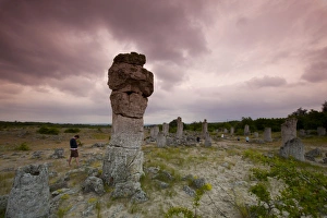 Rock Pillars Prints: Sightseers at the rock formations known as the Stone Forest